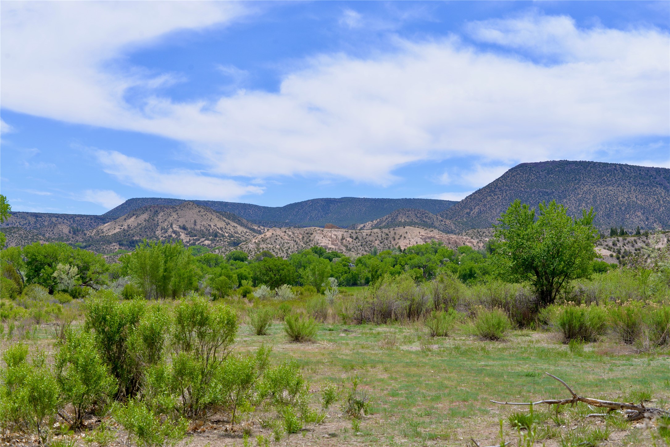 Lots 1 & 2 Off Of Cr-162, Abiquiu, New Mexico image 3