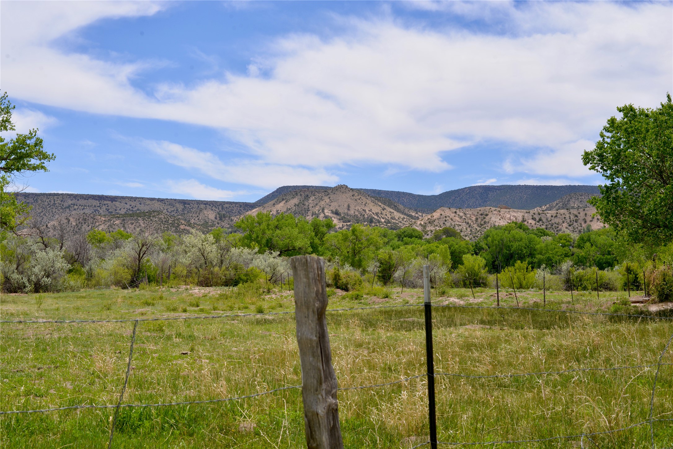 Lots 1 & 2 Off Of Cr-162, Abiquiu, New Mexico image 18