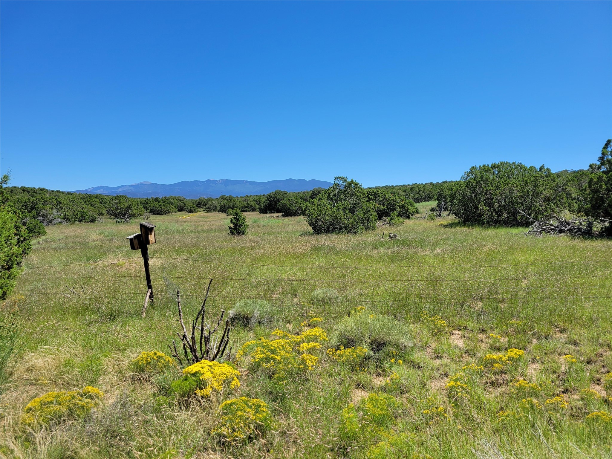 3140 Vista Sandia, Santa Fe, New Mexico image 49