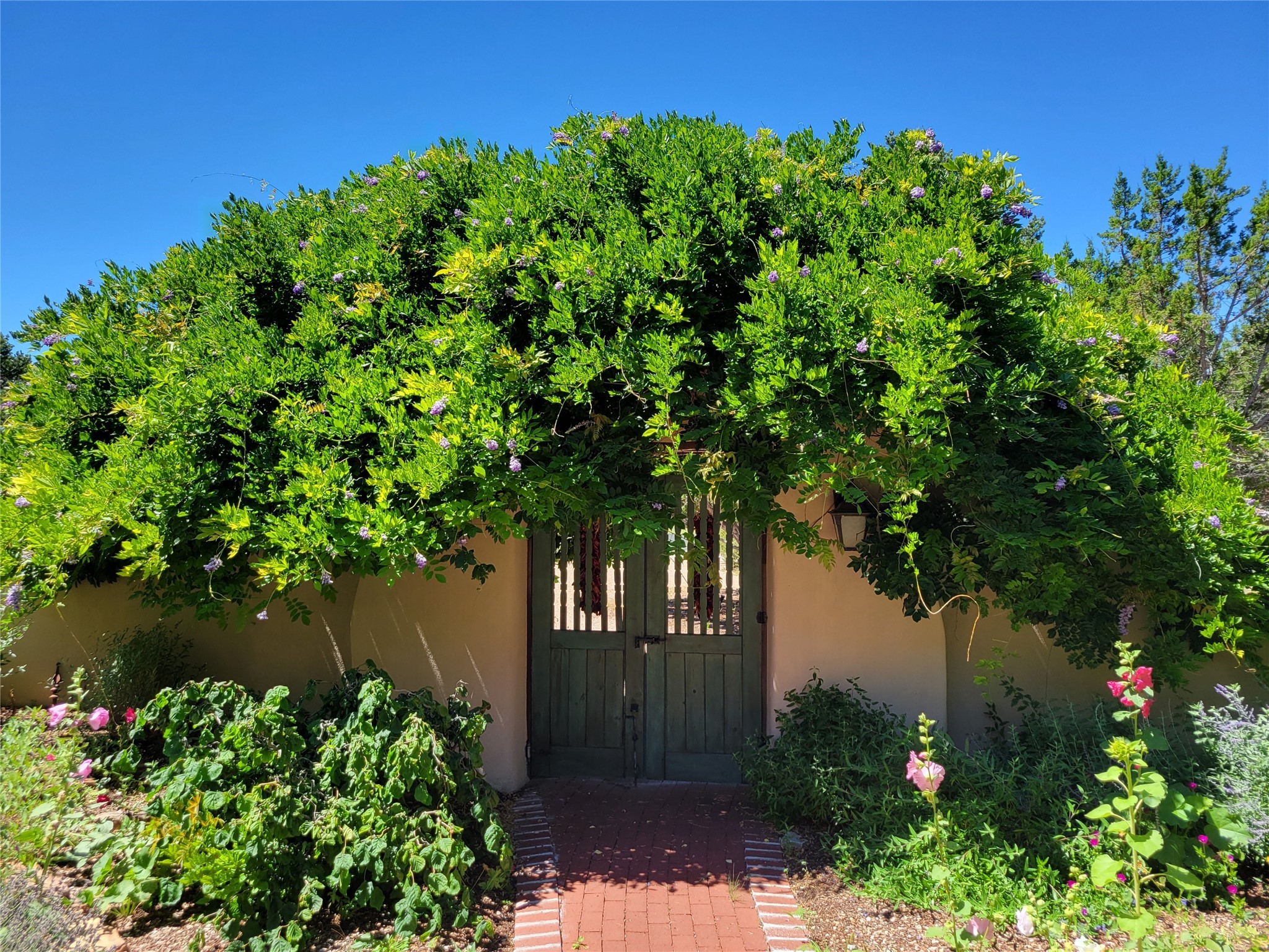 3140 Vista Sandia, Santa Fe, New Mexico image 1