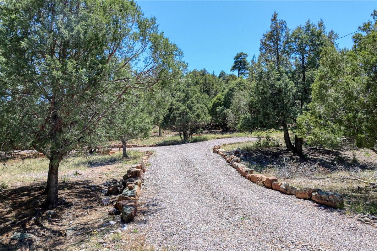 17 Bobcat Lane Ln, Los Ojos, New Mexico image 5