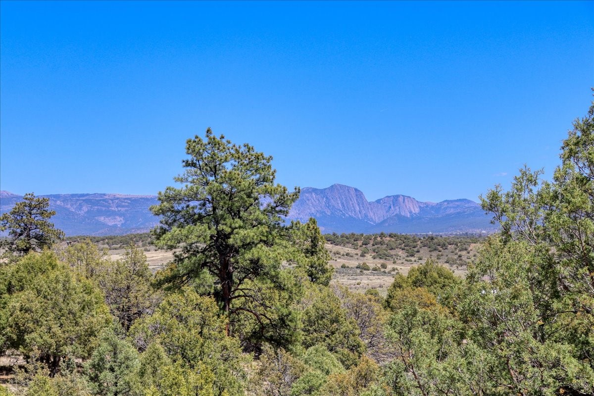 17 Bobcat Lane Ln, Los Ojos, New Mexico image 10