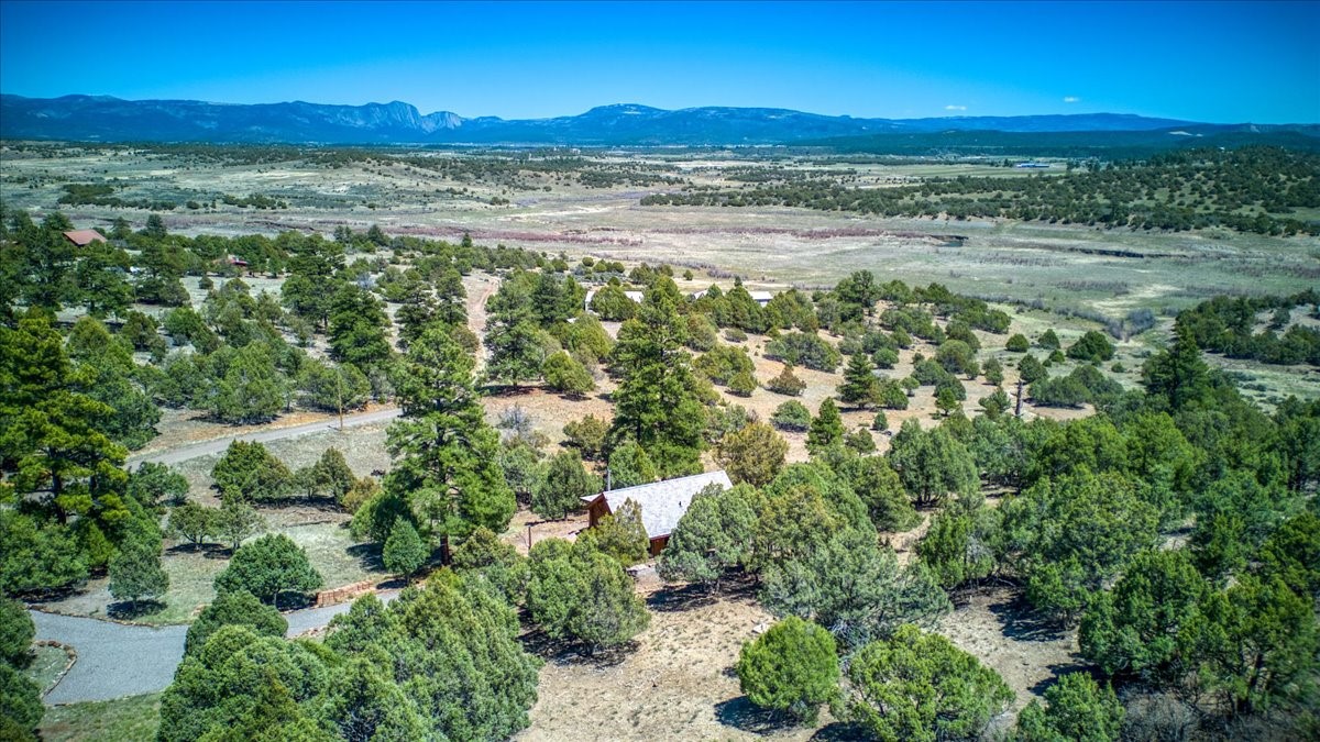 17 Bobcat Lane Ln, Los Ojos, New Mexico image 11