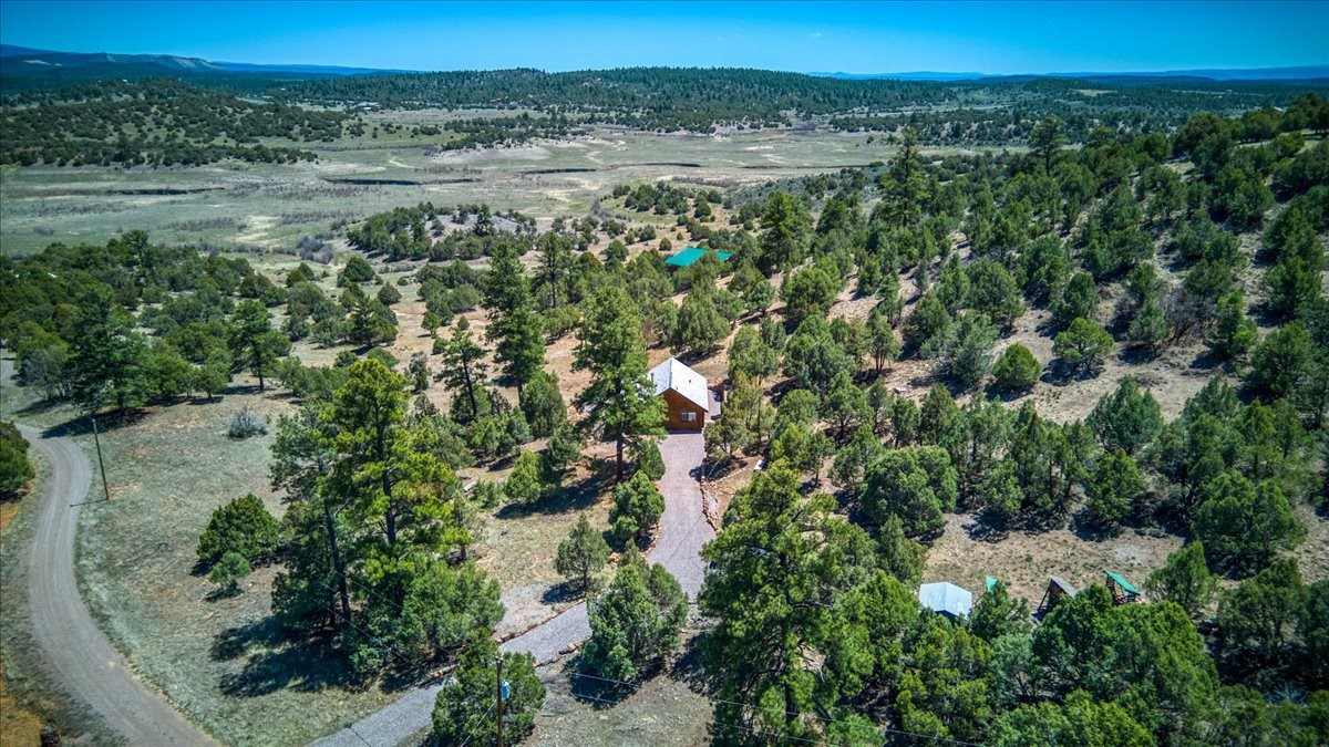 17 Bobcat Lane Ln, Los Ojos, New Mexico image 6