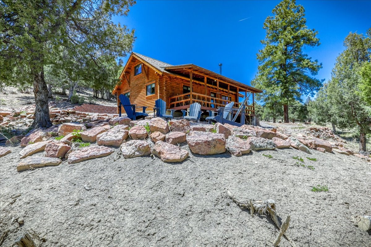 17 Bobcat Lane Ln, Los Ojos, New Mexico image 2