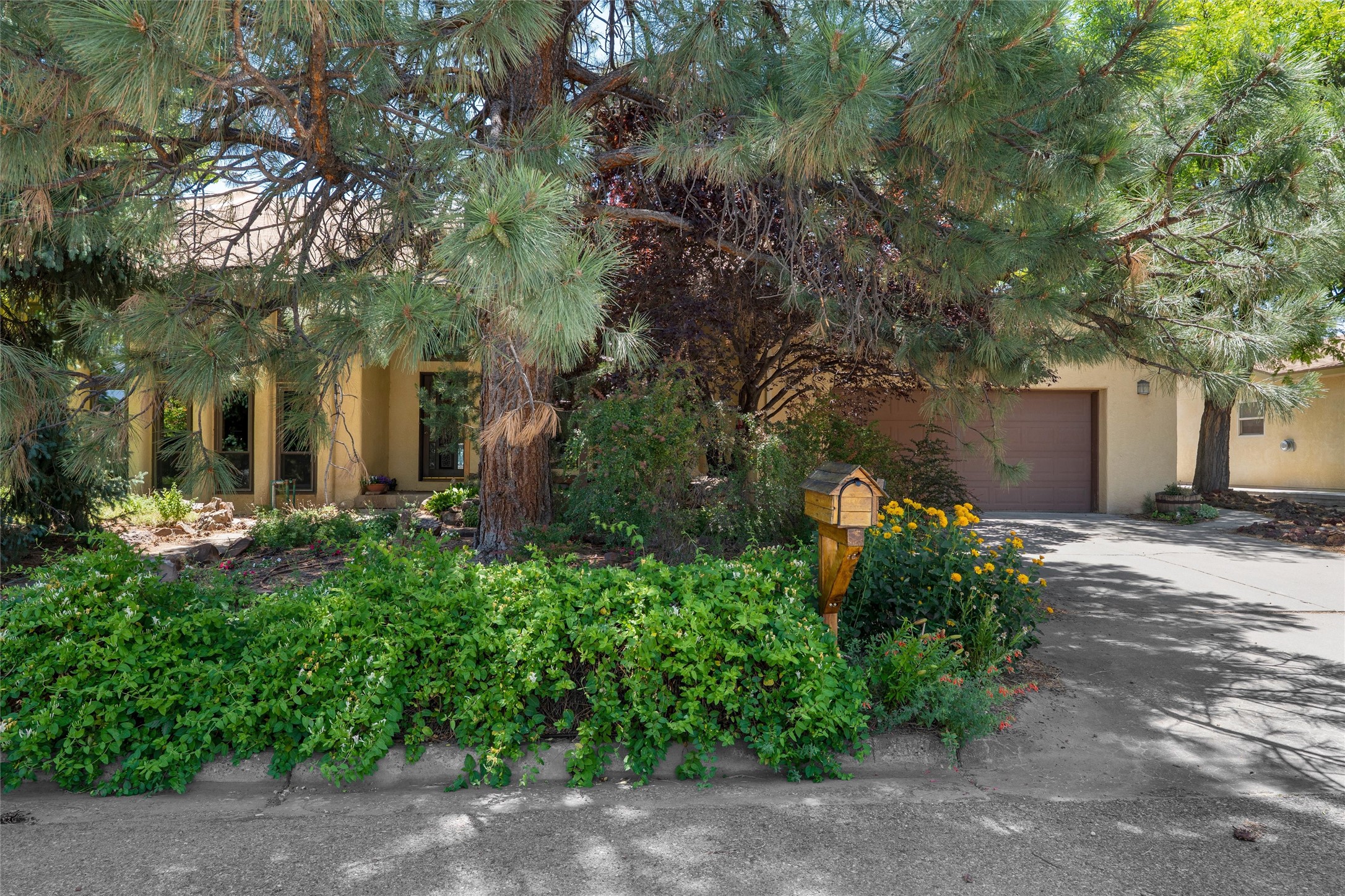 521 Ridgecrest - Photo 4