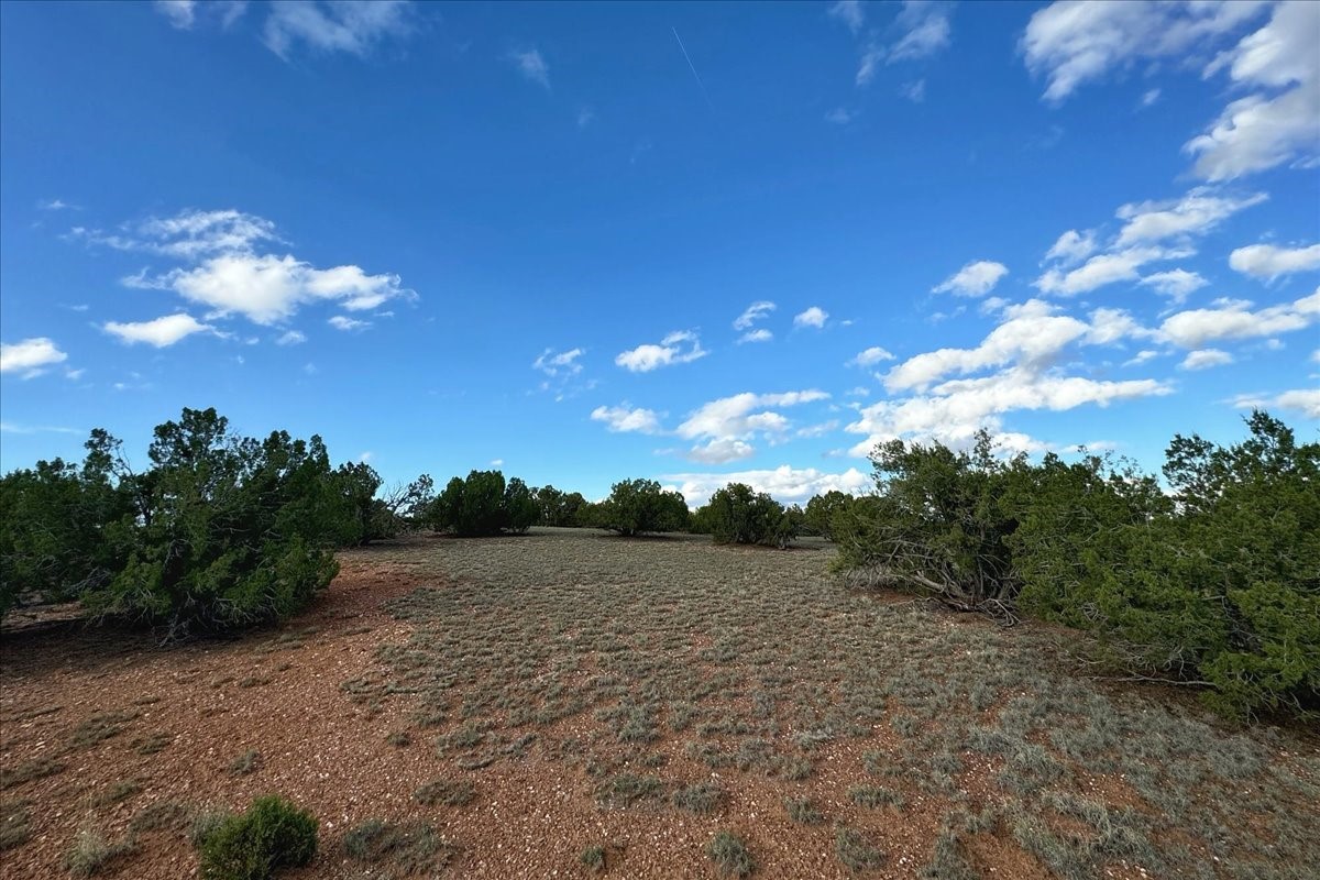 14 Kachina

                                                                             Santa Fe                                

                                    , NM - $133,000