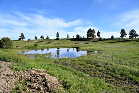 Vacant Land For Sale - 15476 Hwy 64<br/> Rio Arriba County, Chama, NM 87520