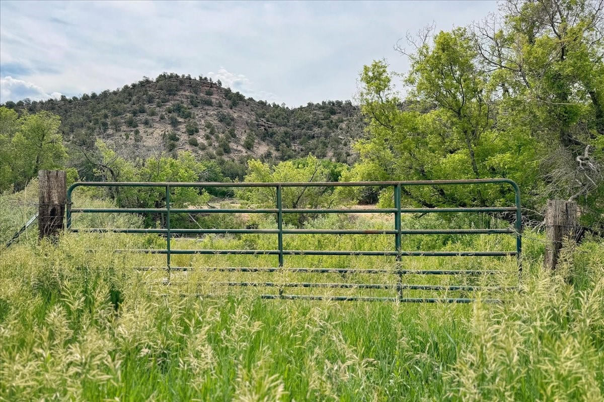 144 Hwy 341, La Madera, New Mexico image 6