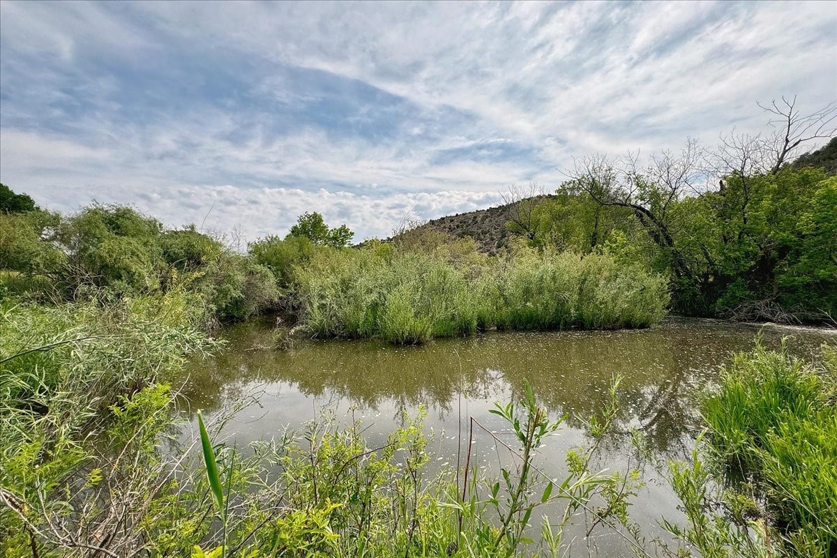 144 Hwy 341, La Madera, New Mexico image 7