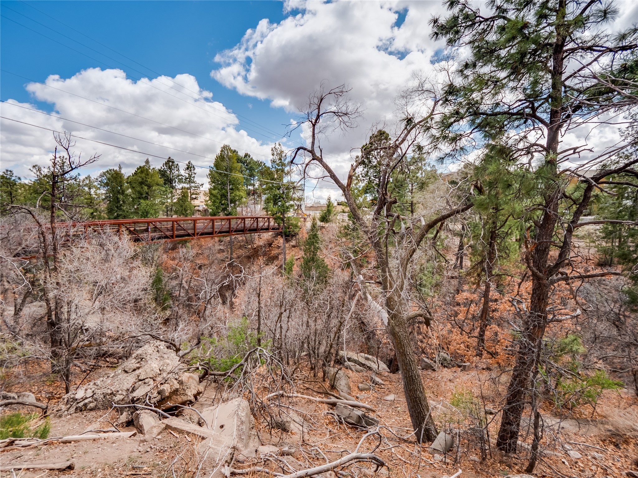 30 Arroyo Lane #C, Los Alamos, New Mexico image 44