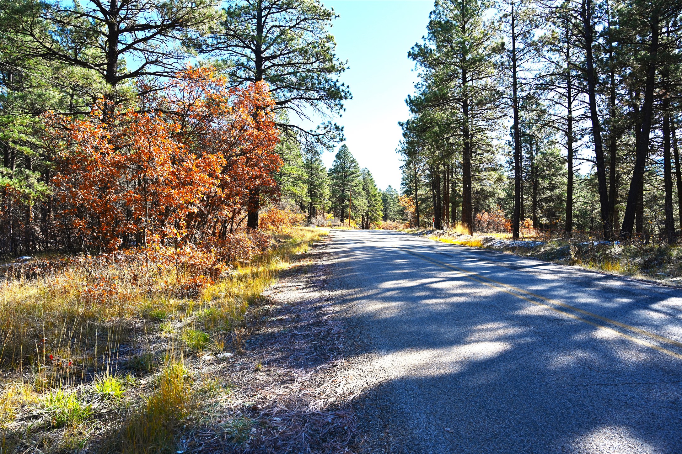 00 Venado Ln, Chama, New Mexico image 11