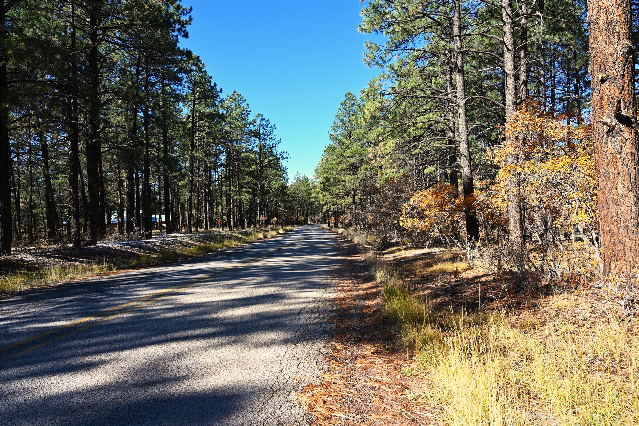 00 Venado Ln, Chama, New Mexico image 10