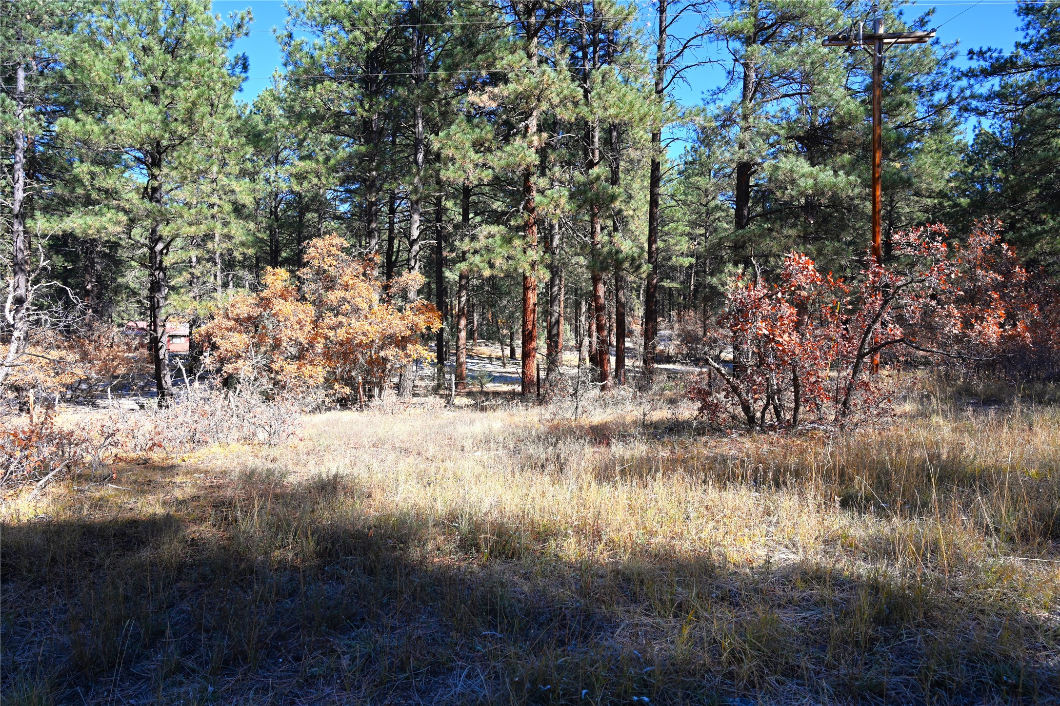 00 Venado Ln, Chama, New Mexico image 12