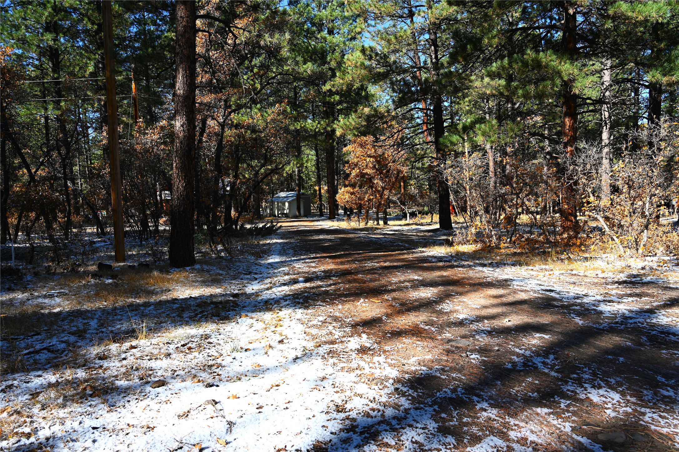 00 Venado Ln, Chama, New Mexico image 15