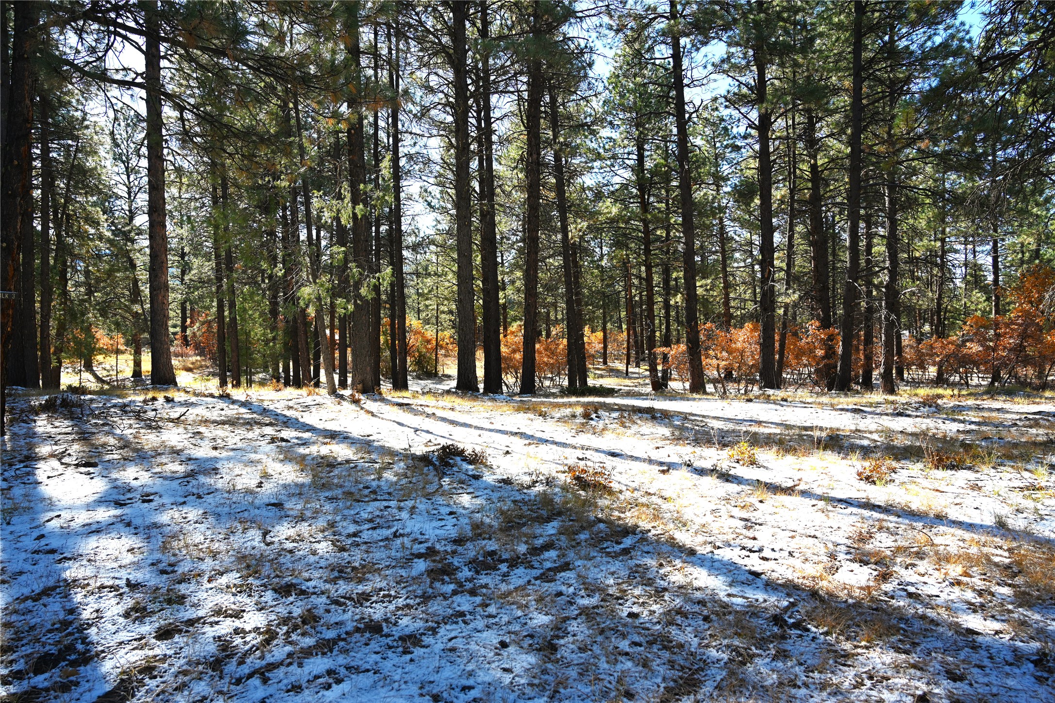 00 Venado Ln, Chama, New Mexico image 2