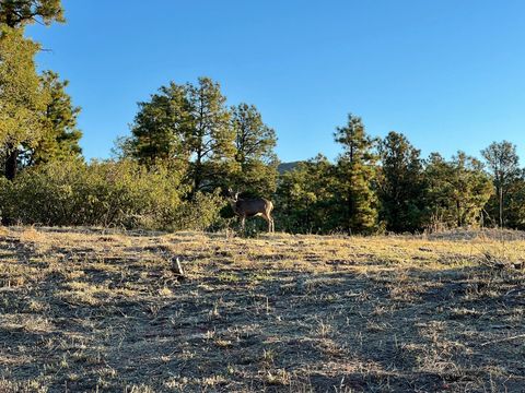 Vacant Land For Sale - 4226 Alabama Avenue<br/> Los Alamos County, Los Alamos, NM 87544