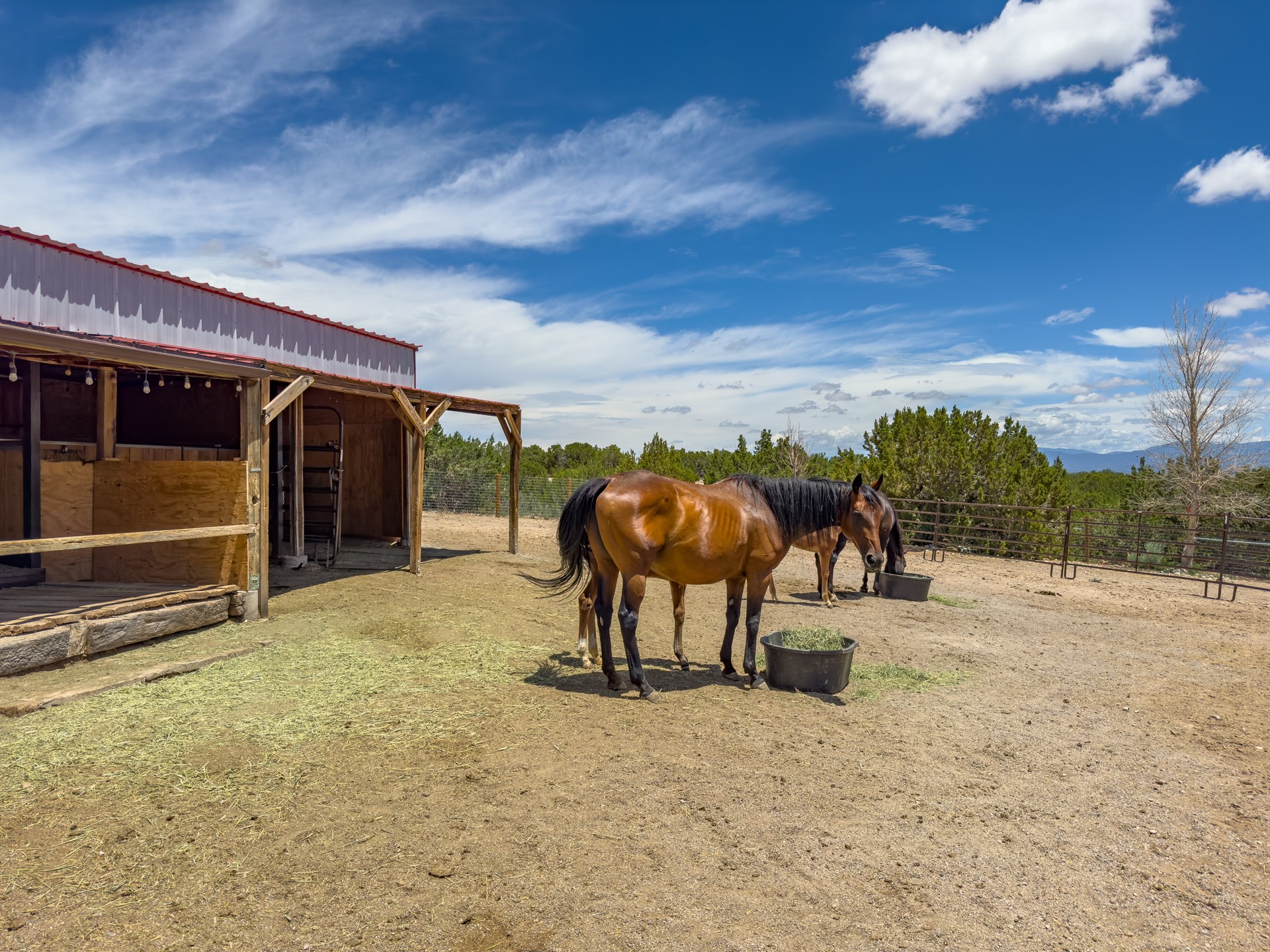 171 Silver Hills Road, Santa Fe, New Mexico image 38