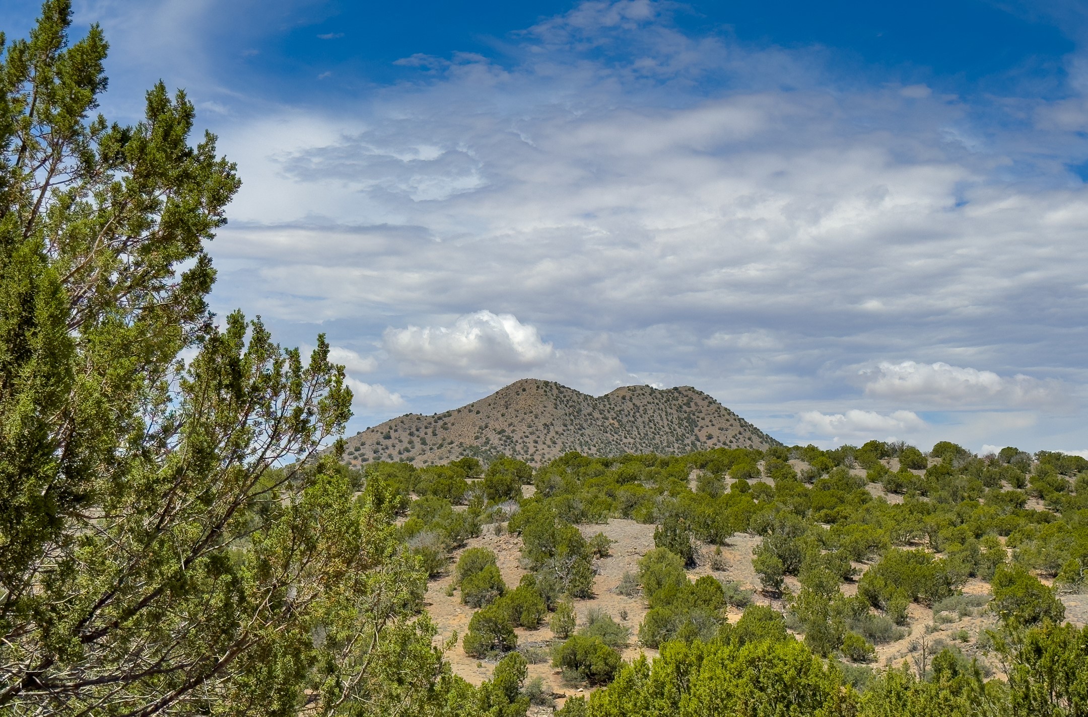 171 Silver Hills Road, Santa Fe, New Mexico image 47