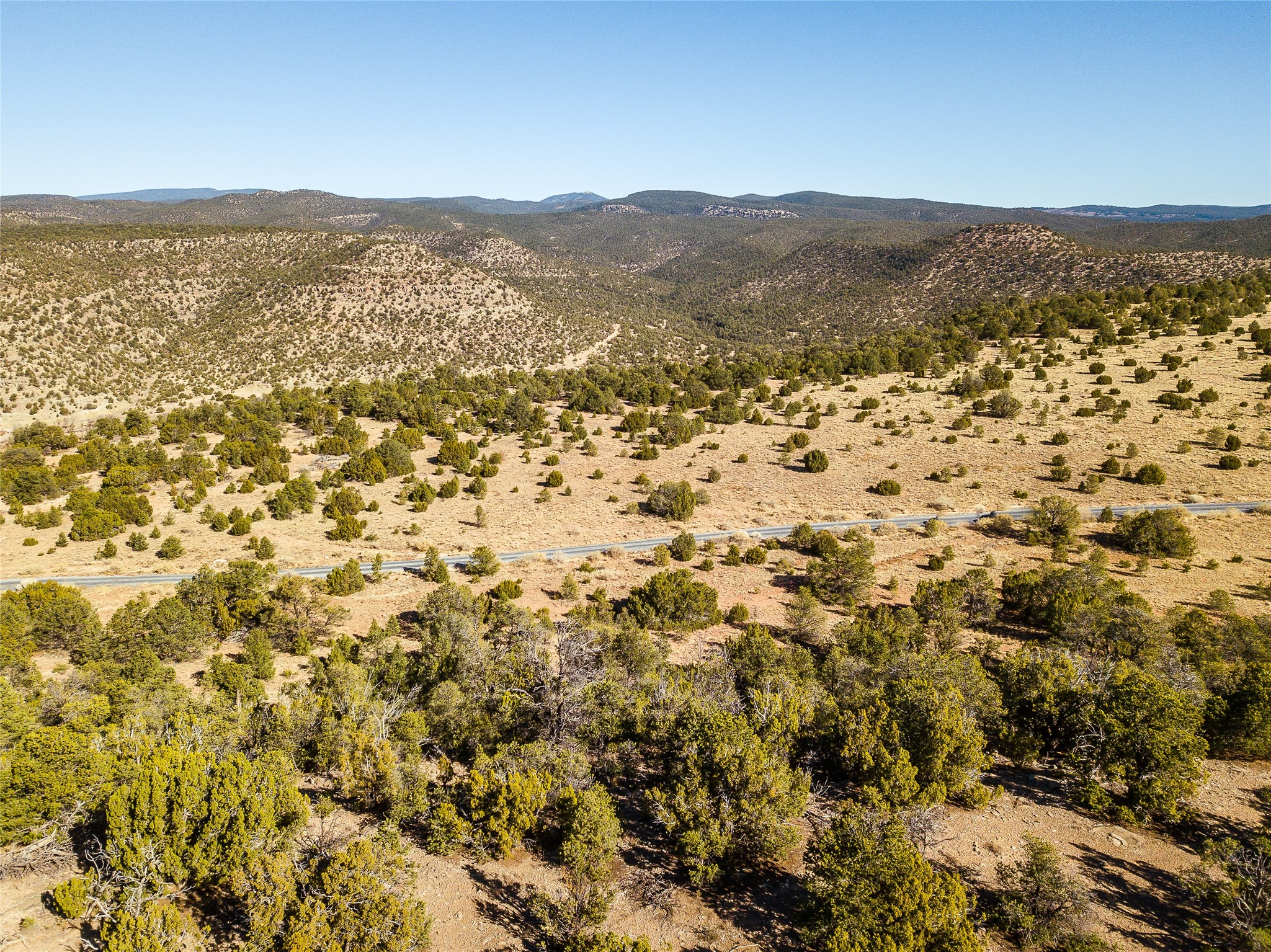 Cest La Vie En Rose, Ilfeld, New Mexico image 18