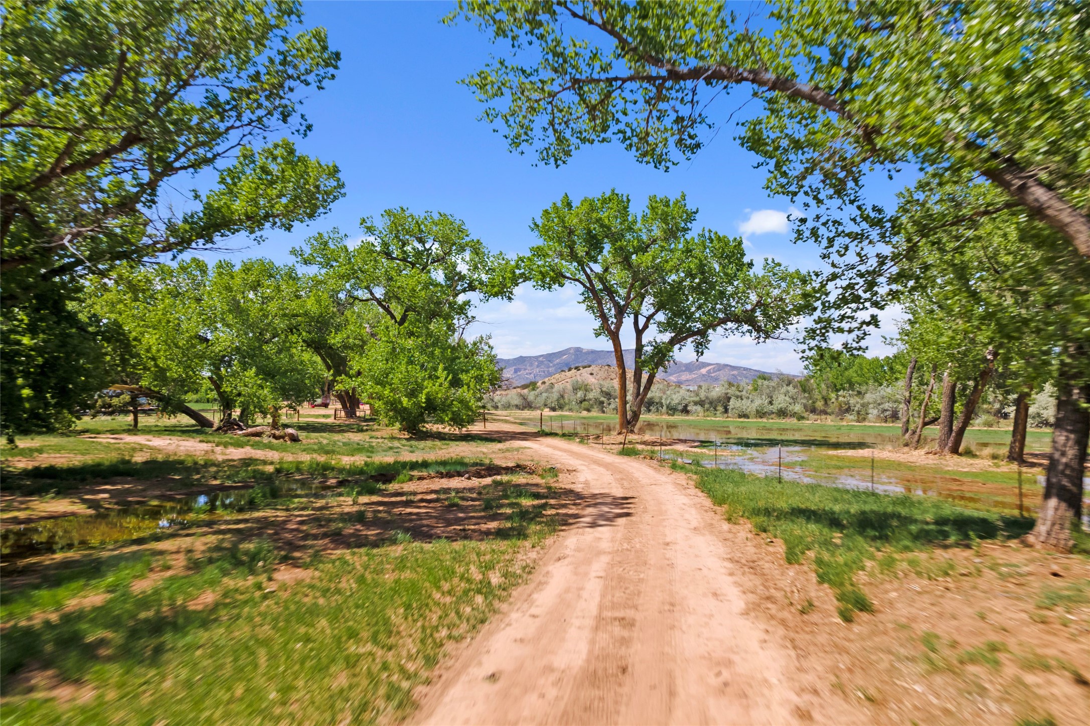 20590 Us Hwy 84, Medanales, New Mexico image 6