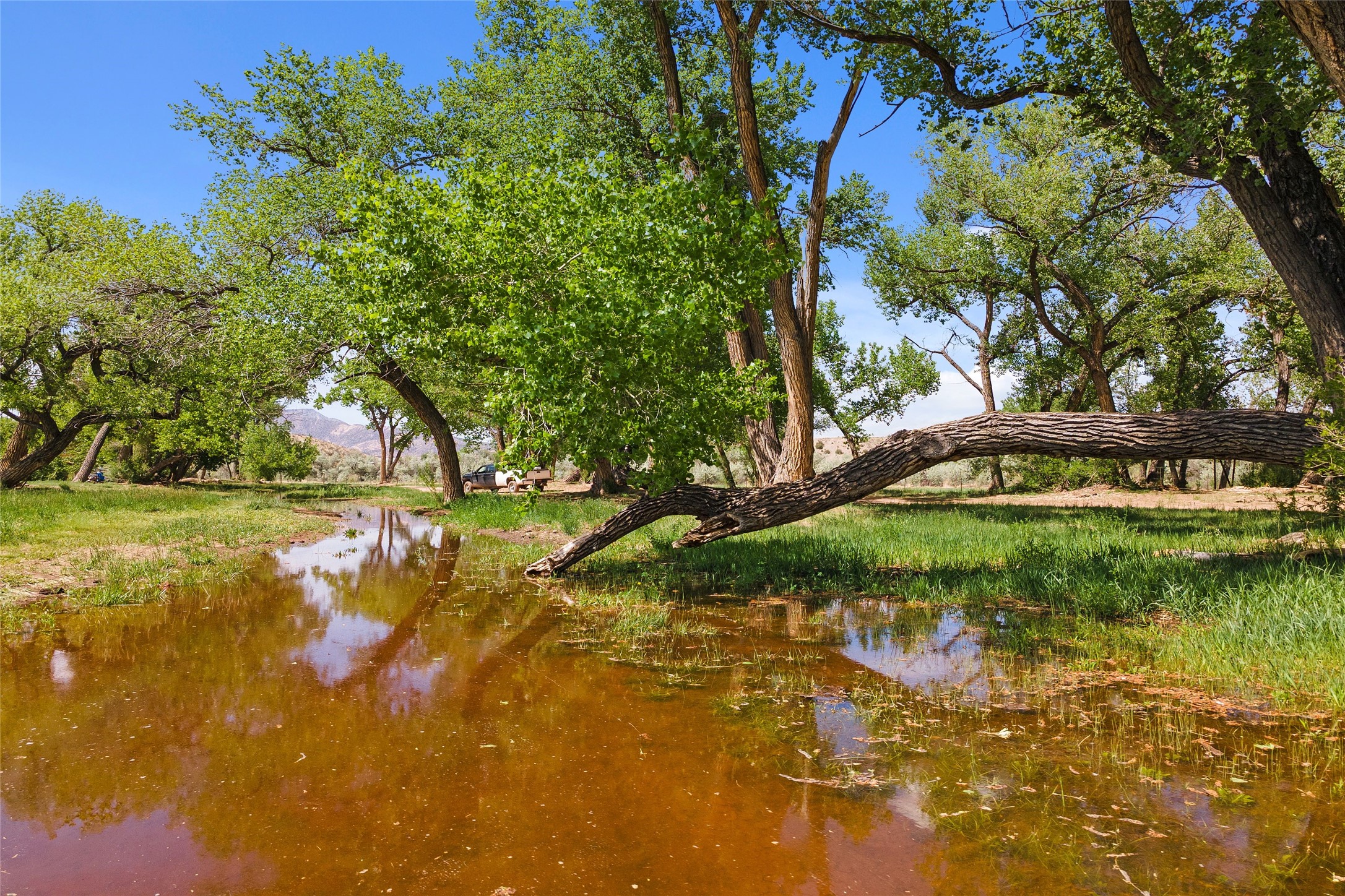 20590 Us Hwy 84, Medanales, New Mexico image 14