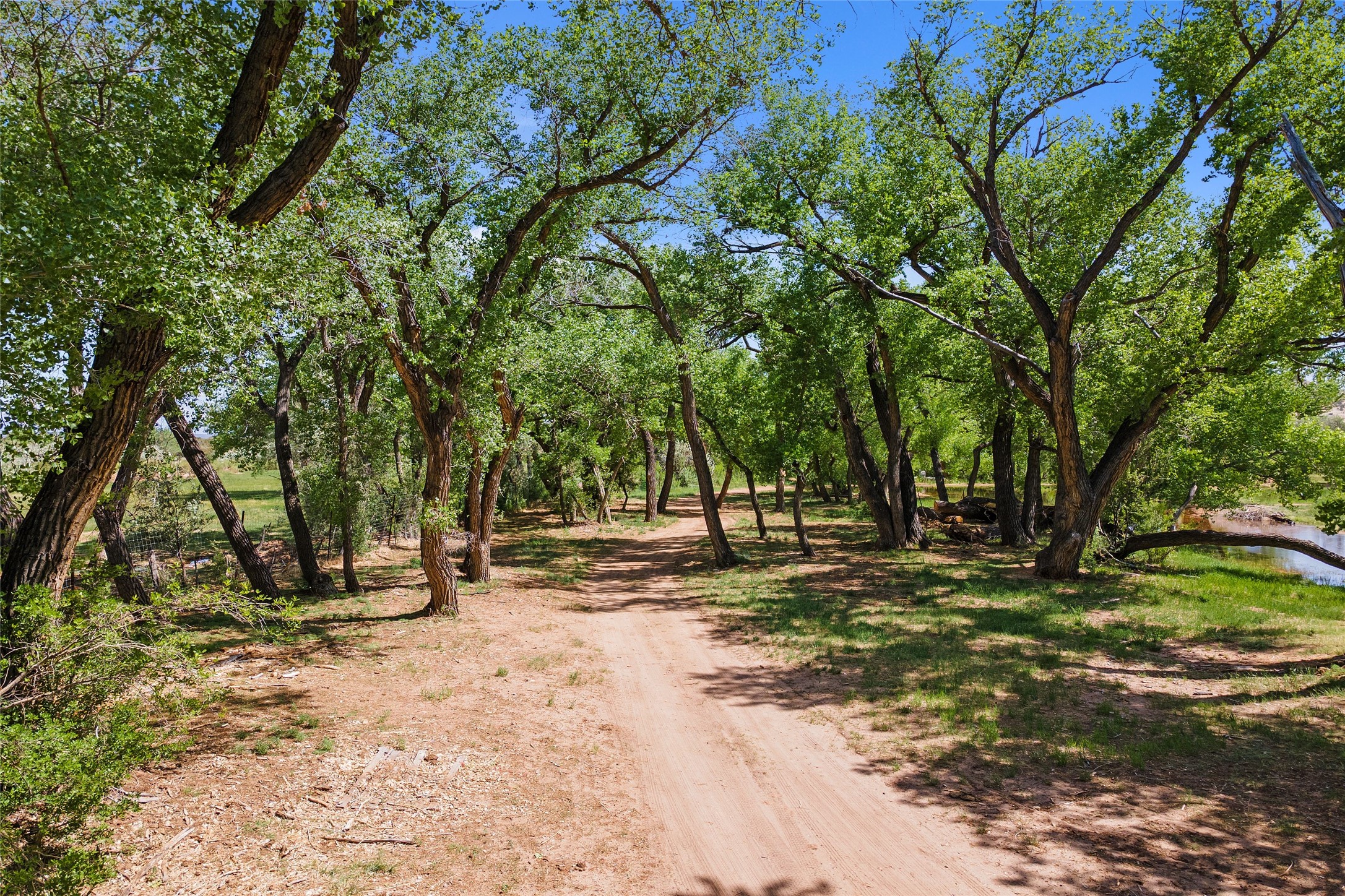 20590 Us Hwy 84, Medanales, New Mexico image 15