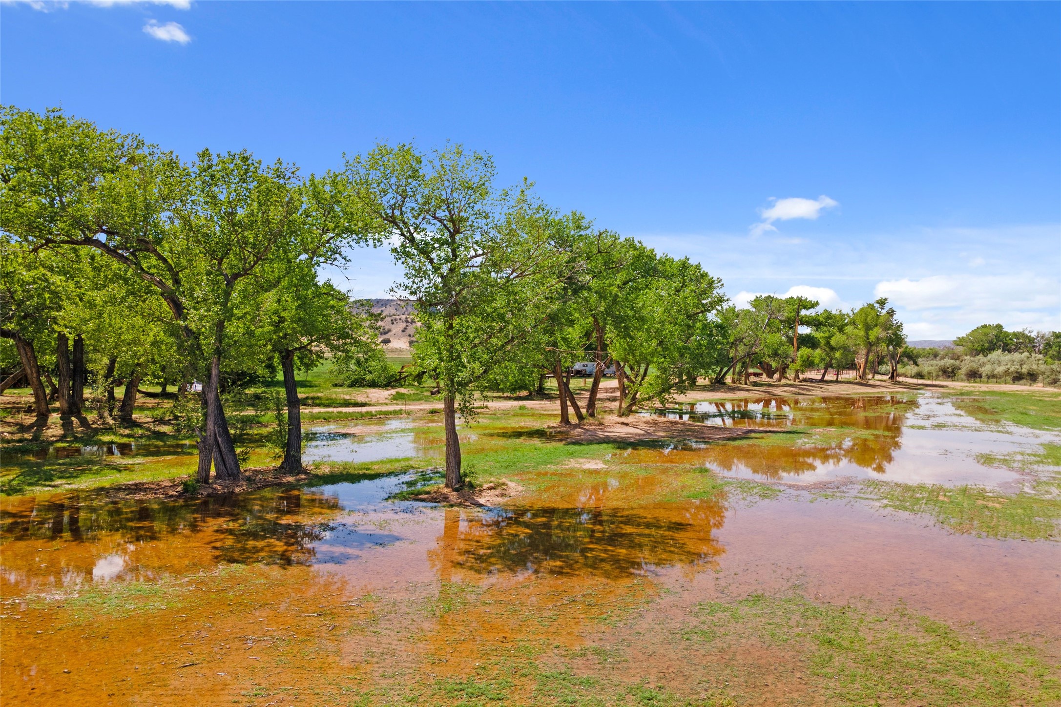 20590 Us Hwy 84, Medanales, New Mexico image 16