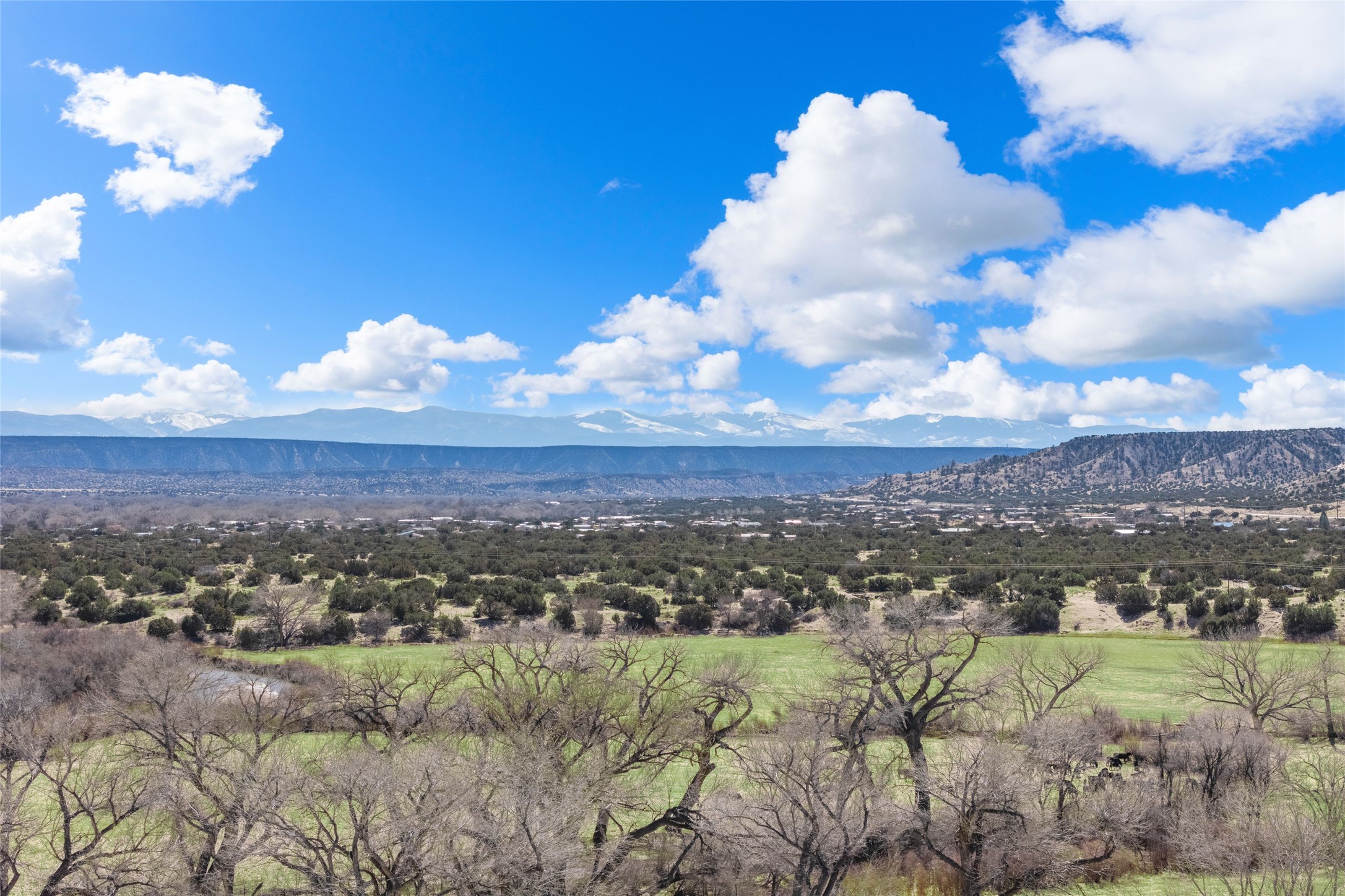 20590 Us Hwy 84, Medanales, New Mexico image 5