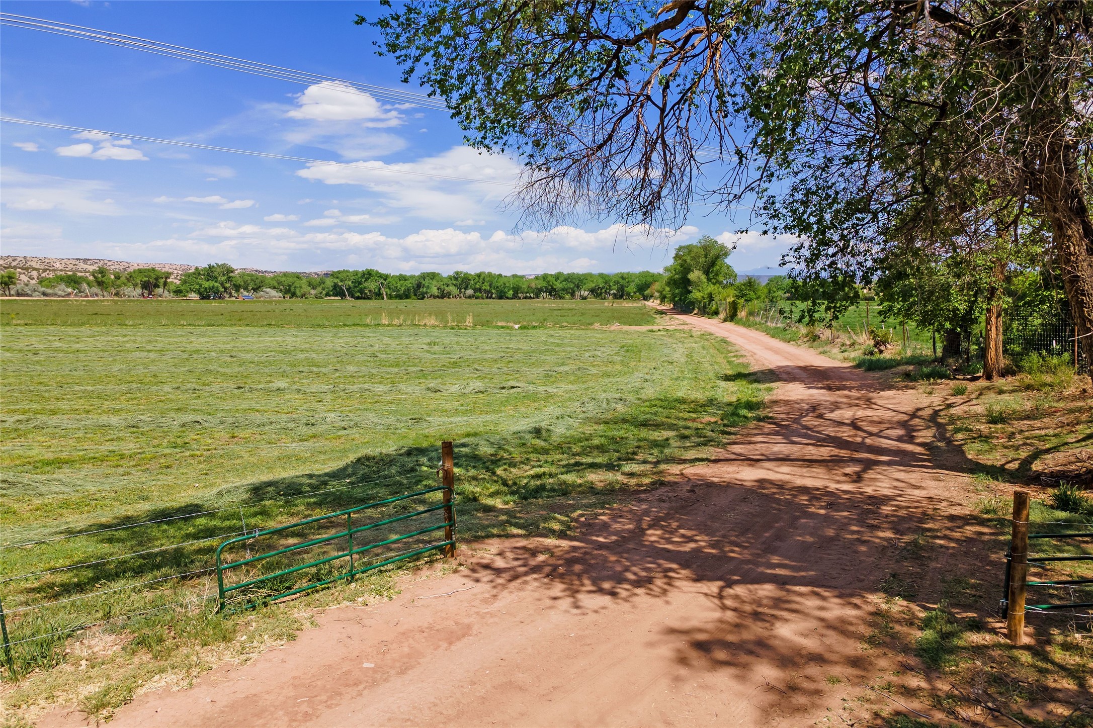 20590 Us Hwy 84, Medanales, New Mexico image 5