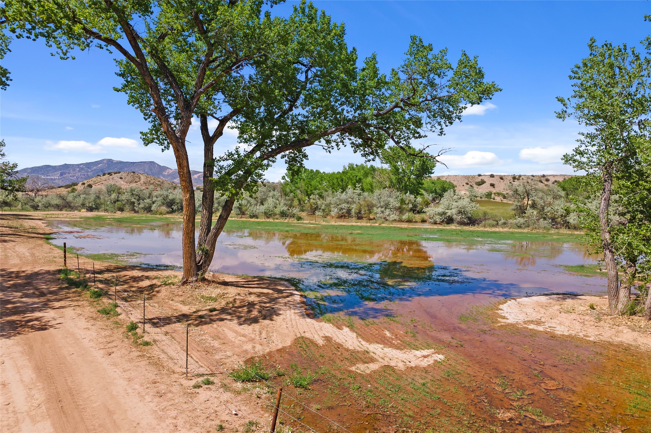 20590 Us Hwy 84, Medanales, New Mexico image 7