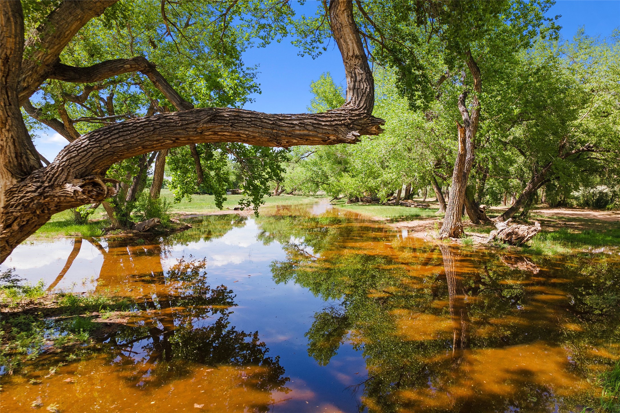 20590 Us Hwy 84, Medanales, New Mexico image 13