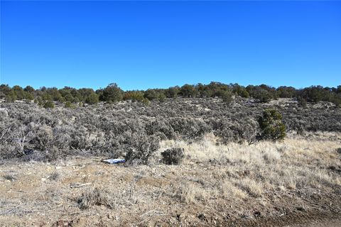 Vacant Land For Sale - 00 Vereda De Caballos<br/> Tierra Amarilla, NM 87575