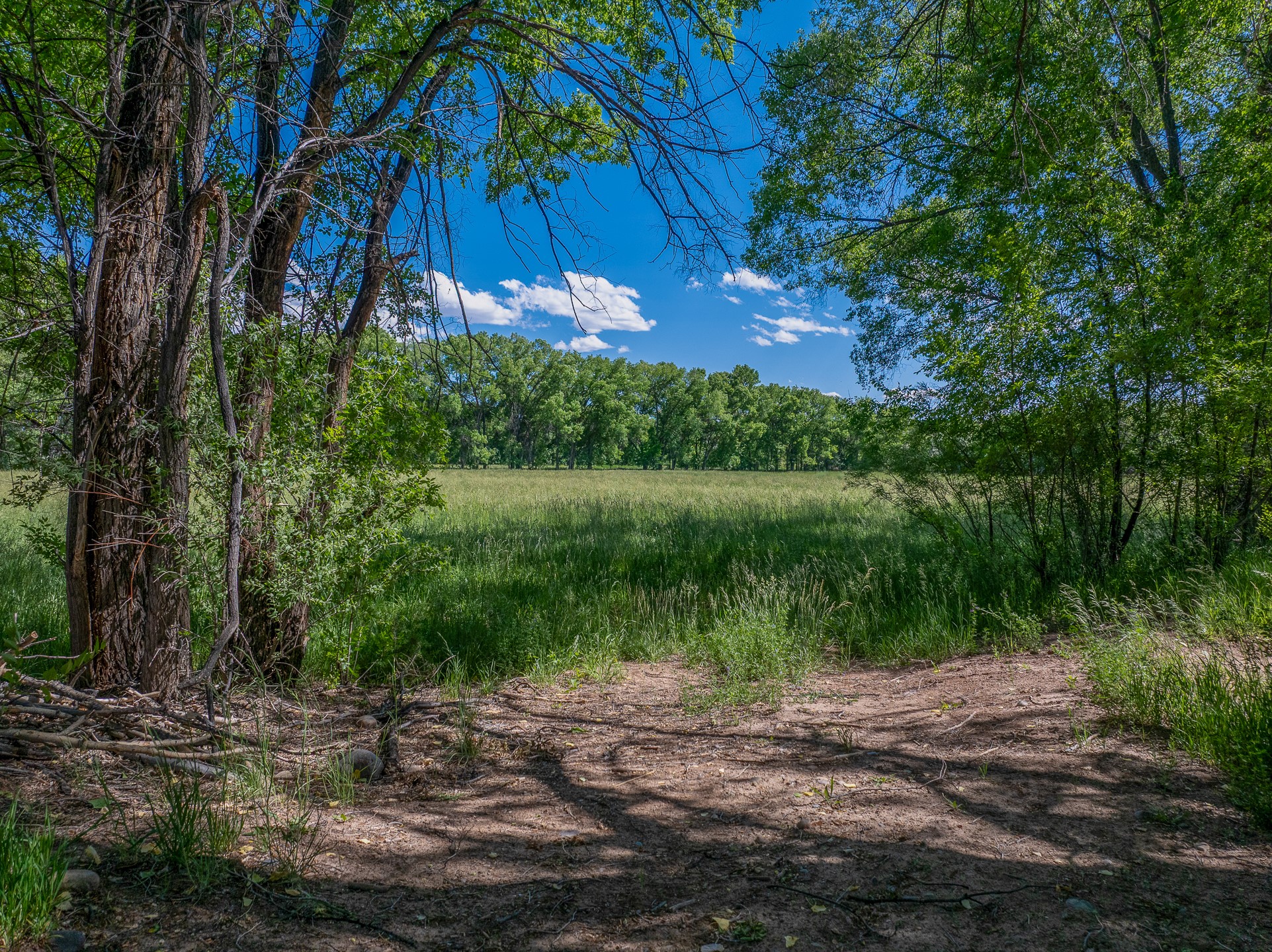 Medanales, New Mexico 87548, United States, 2 Bedrooms Bedrooms, ,1 BathroomBathrooms,Residential,Active,153026