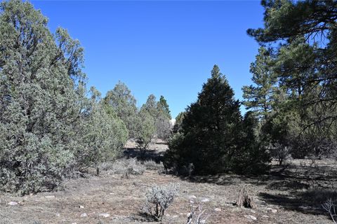Vacant Land For Sale - 00 Nm Sr 64<br/> Tierra Amarilla, NM 87575