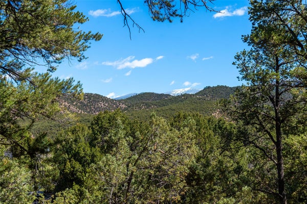 1412 TESUQUE CREEK RD, SANTA FE, NM 87501 - Image 62b58dd1ea2a428b7ddedf0bd6fc02f0/684915078