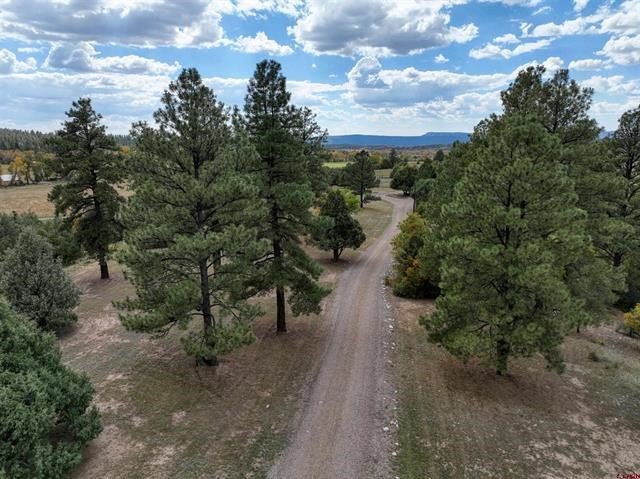 93 B County Road 342, Chama, New Mexico image 18