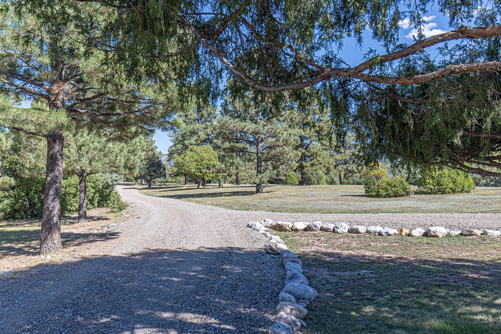 93 B County Road 342, Chama, New Mexico image 22