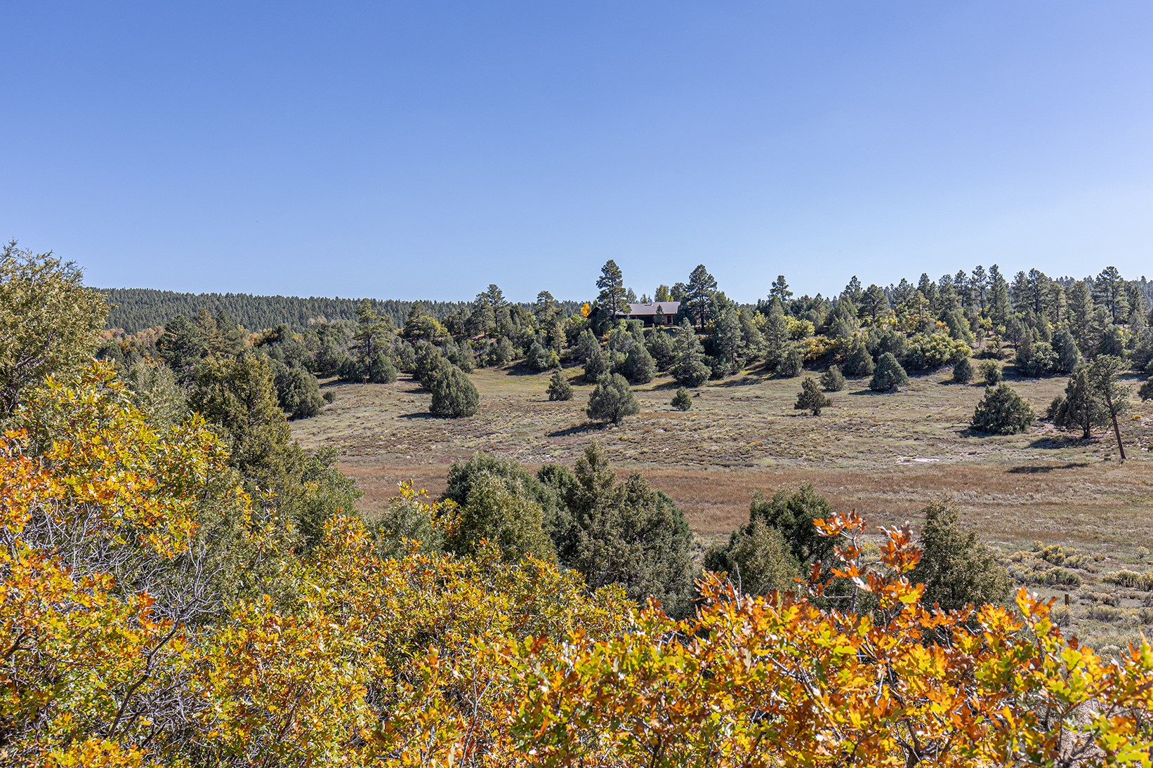 93 B County Road 342, Chama, New Mexico image 37