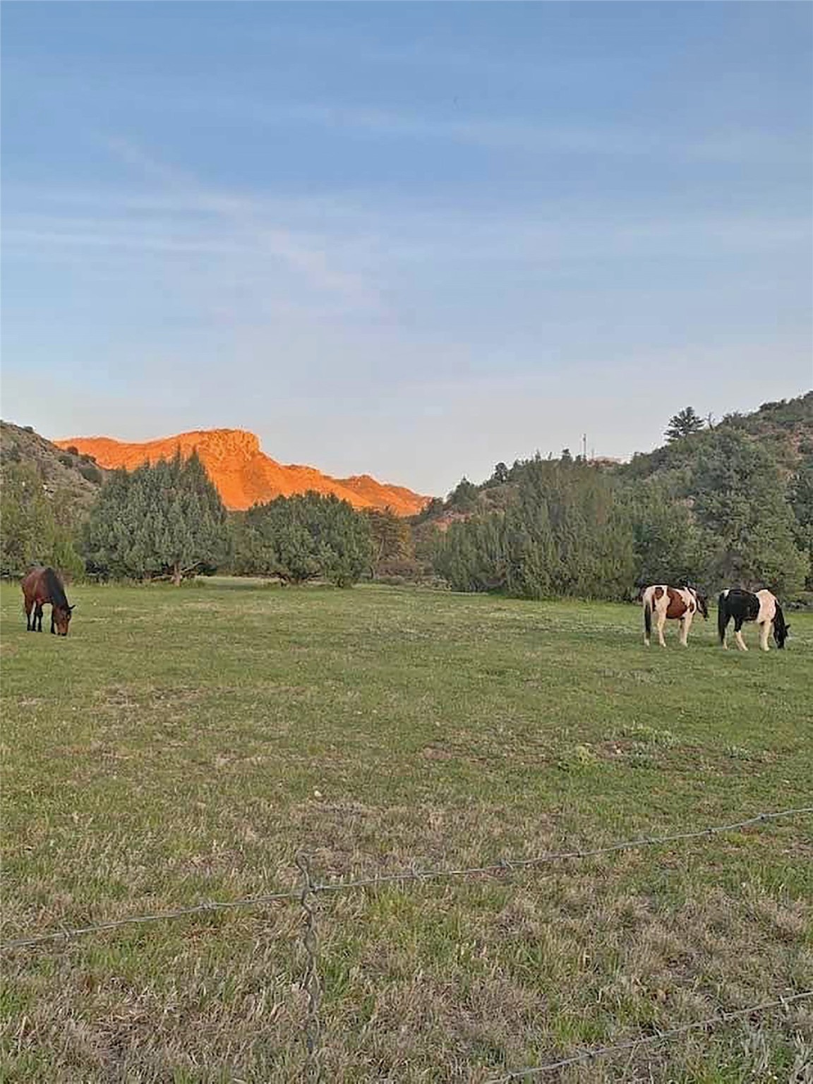 142 Catwalk Road #PARCEL A, Glenwood, New Mexico image 10