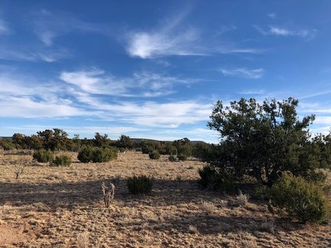 Vacant Land For Sale - TRACT 11 Anza Road<br/> Corona, NM 88318