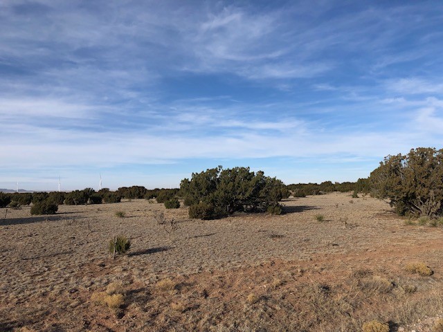 Tract 11 Anza Road, Corona, New Mexico image 6