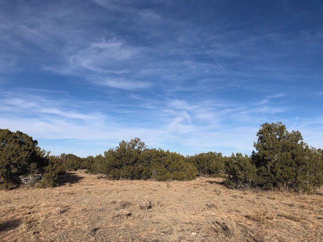 Tract 11 Anza Road, Corona, New Mexico image 9