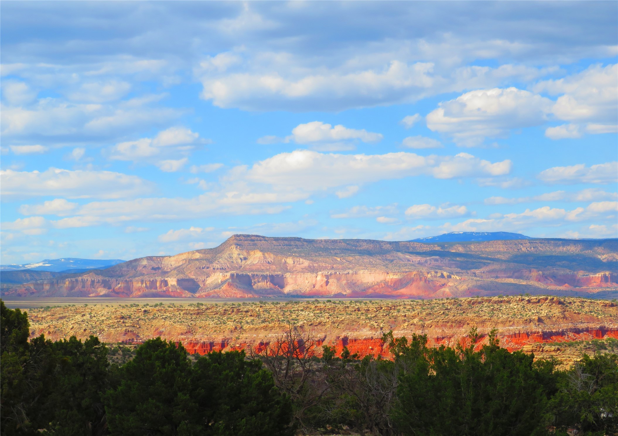 170 Harmony Circle, Abiquiu, New Mexico image 29