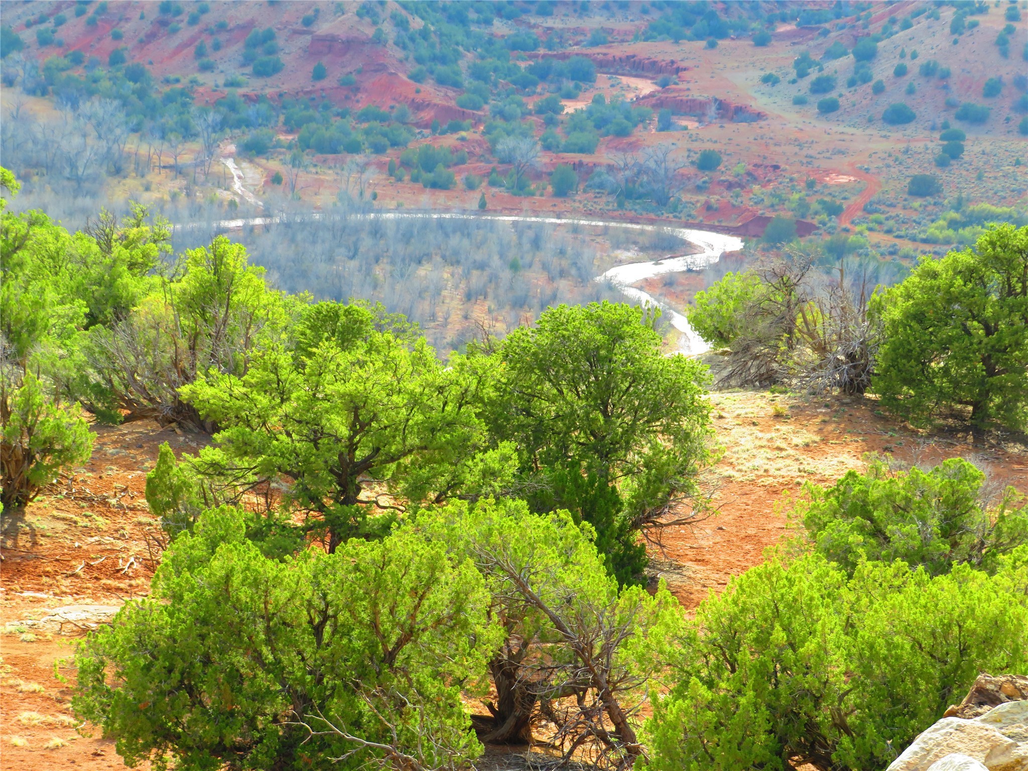 170 Harmony Circle, Abiquiu, New Mexico image 31