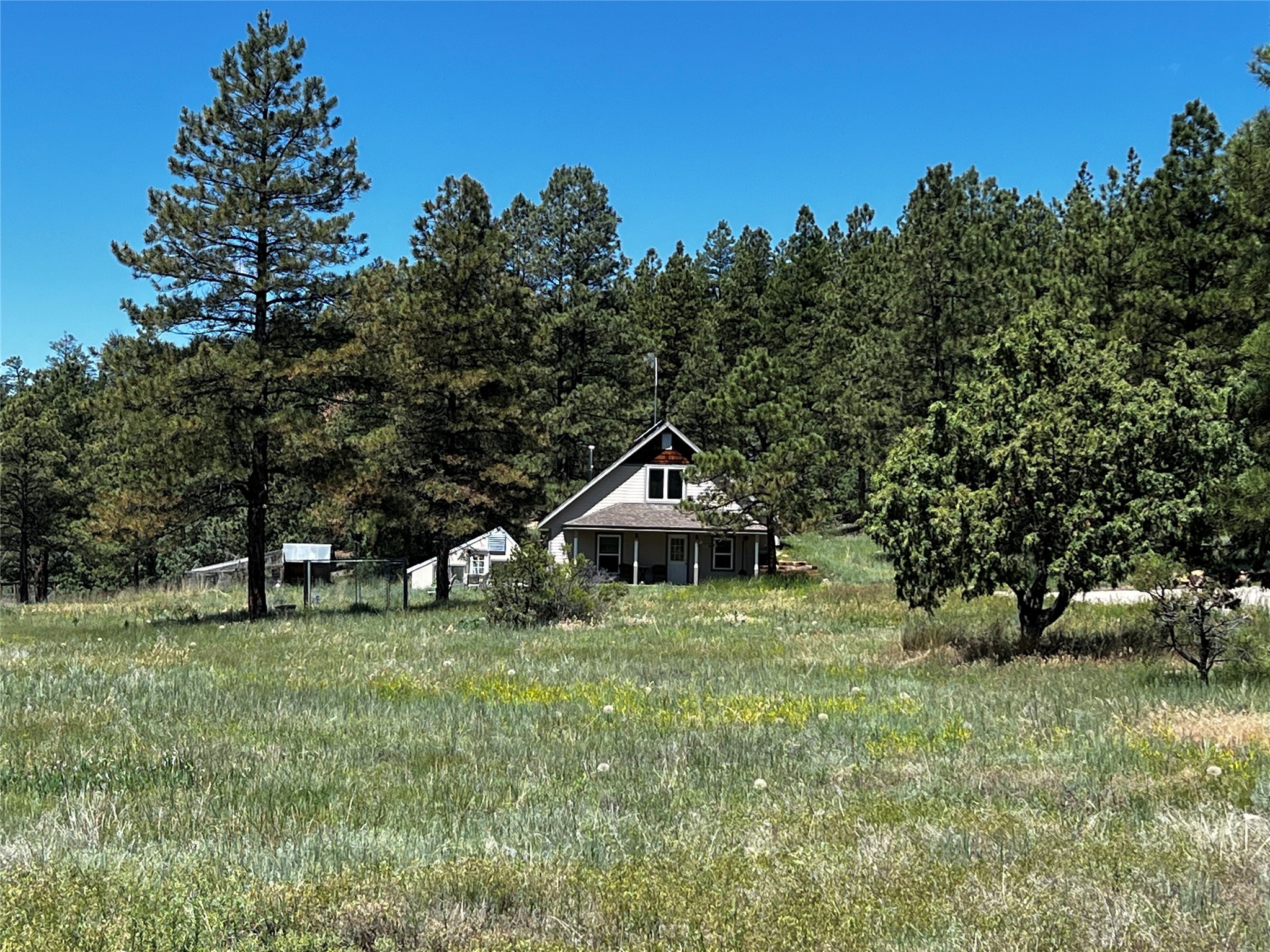 150 Forest Service Road 124, Cebolla, New Mexico image 2