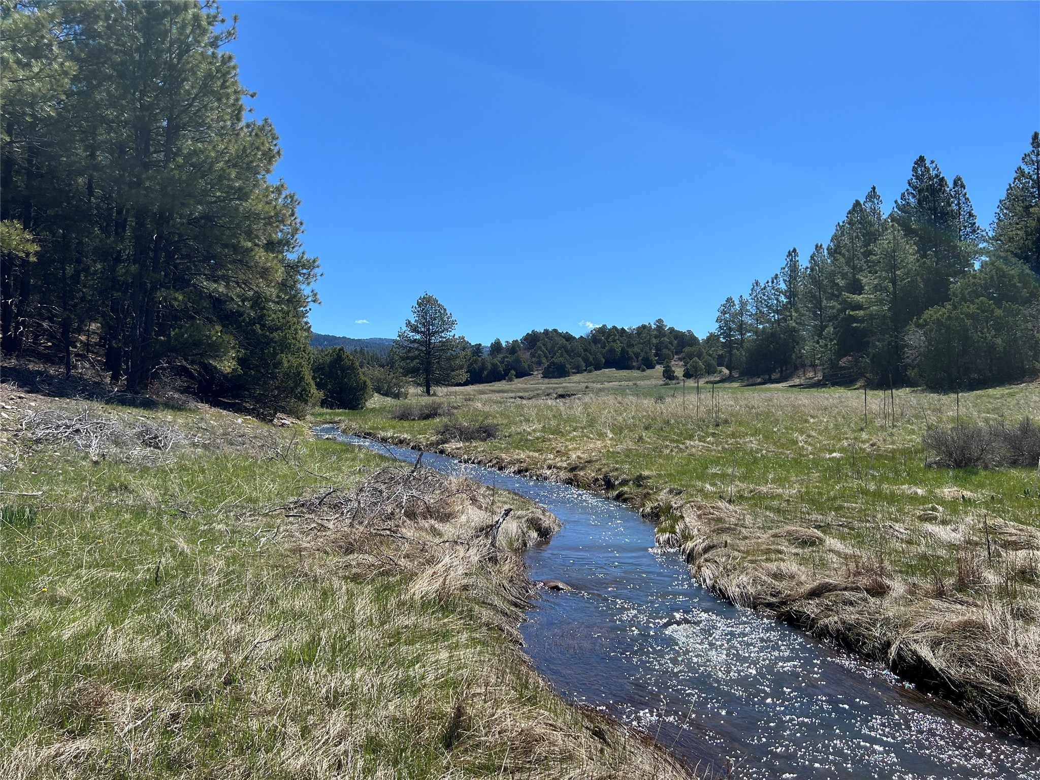 150 Forest Service Road 124, Cebolla, New Mexico image 47