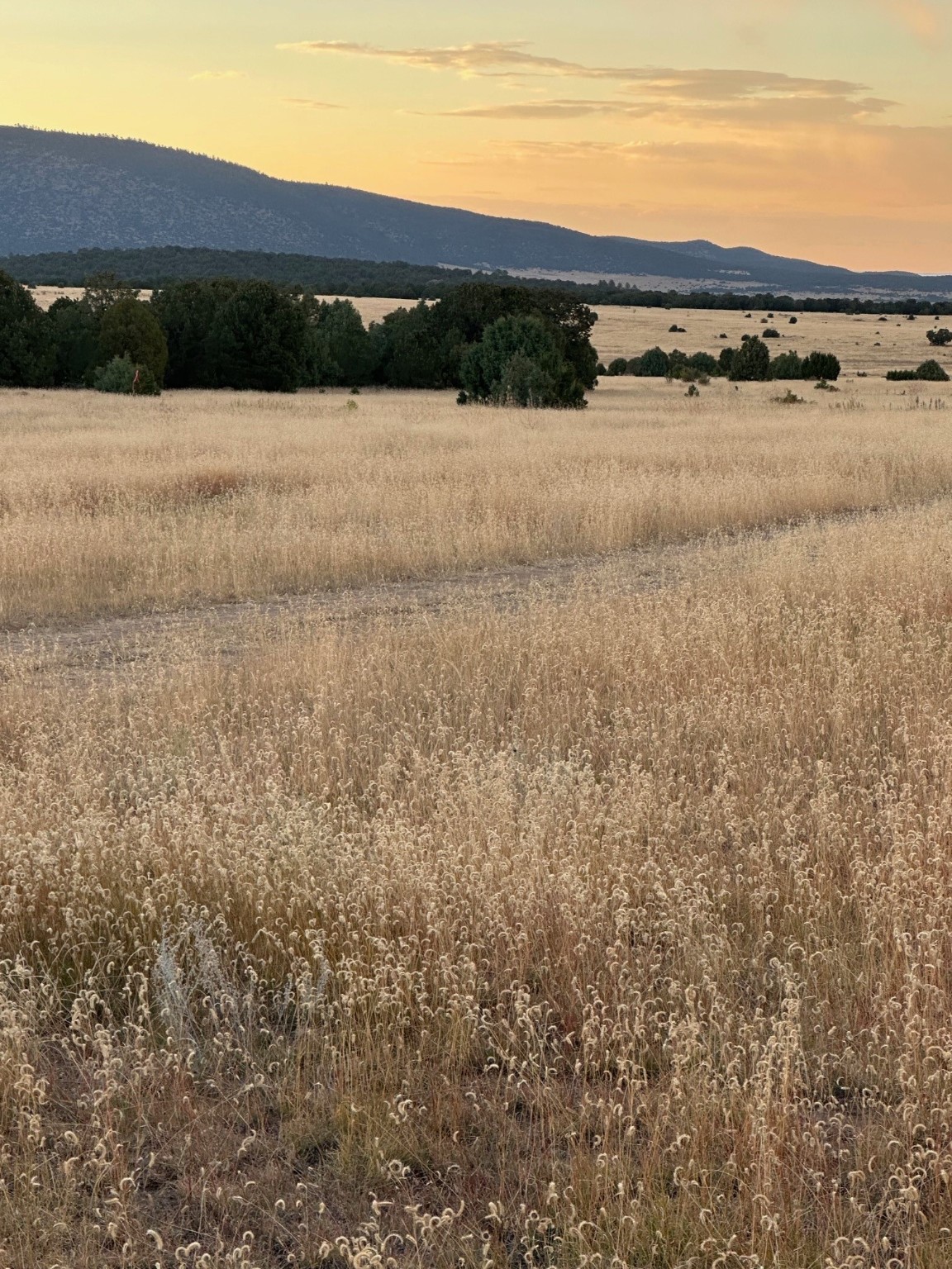 TBD Vallecitos Road, Abiquiu, New Mexico image 3