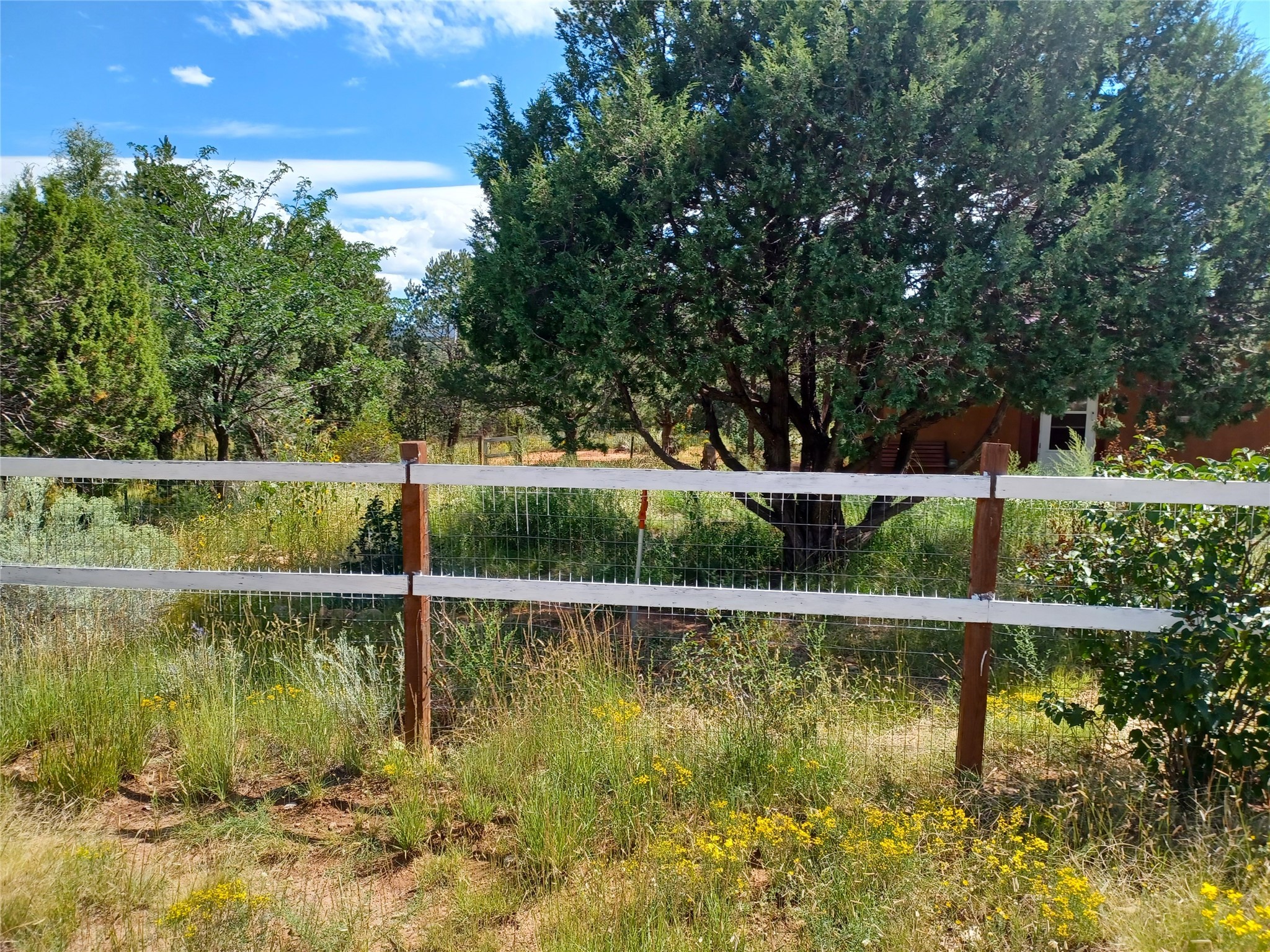 29 Mesa Baja Road, Rowe, New Mexico image 29