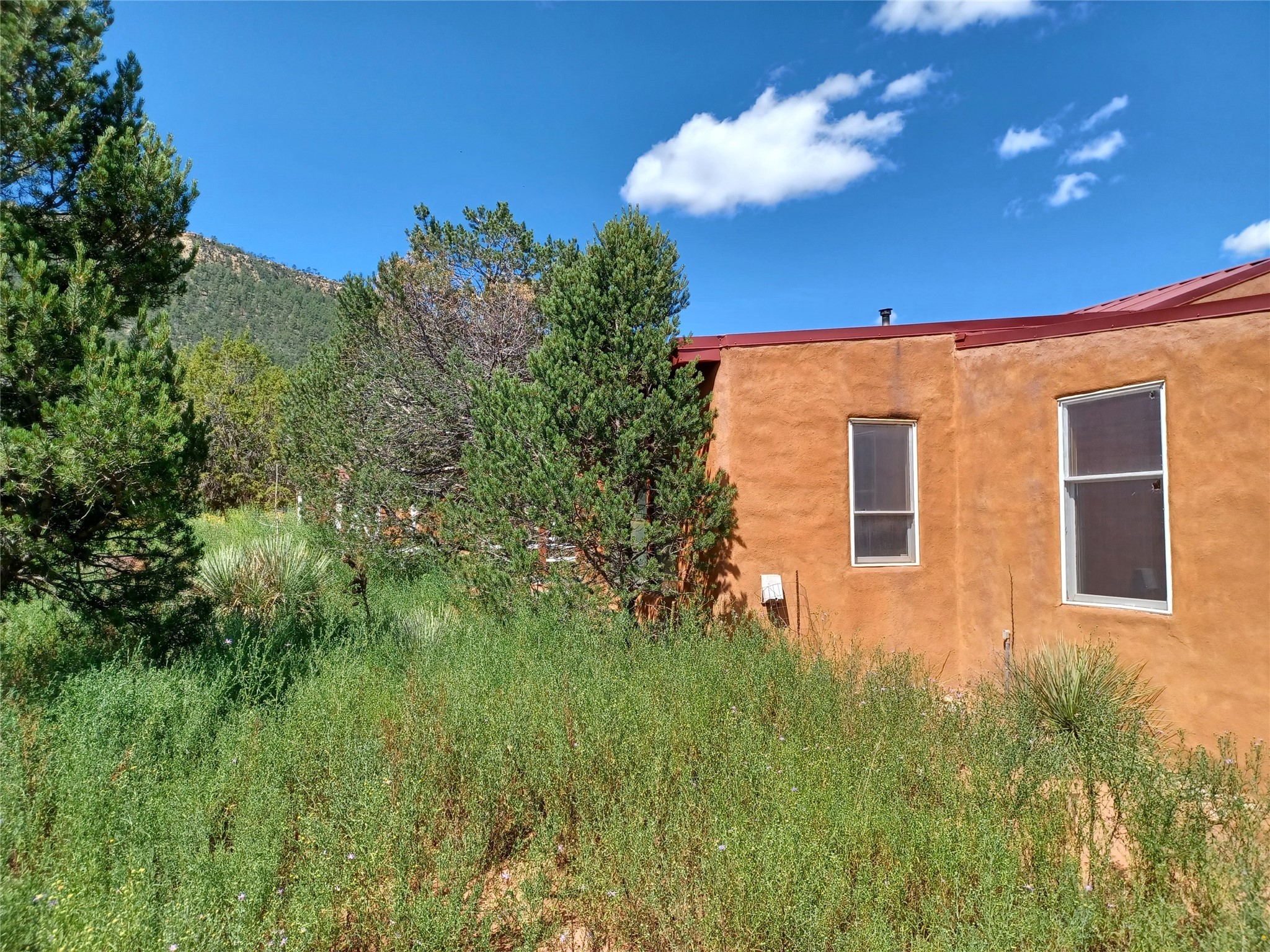 29 Mesa Baja Road, Rowe, New Mexico image 14